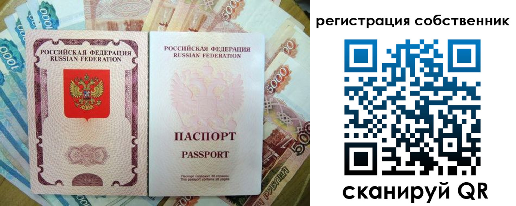 прописка гарантия в Курской области